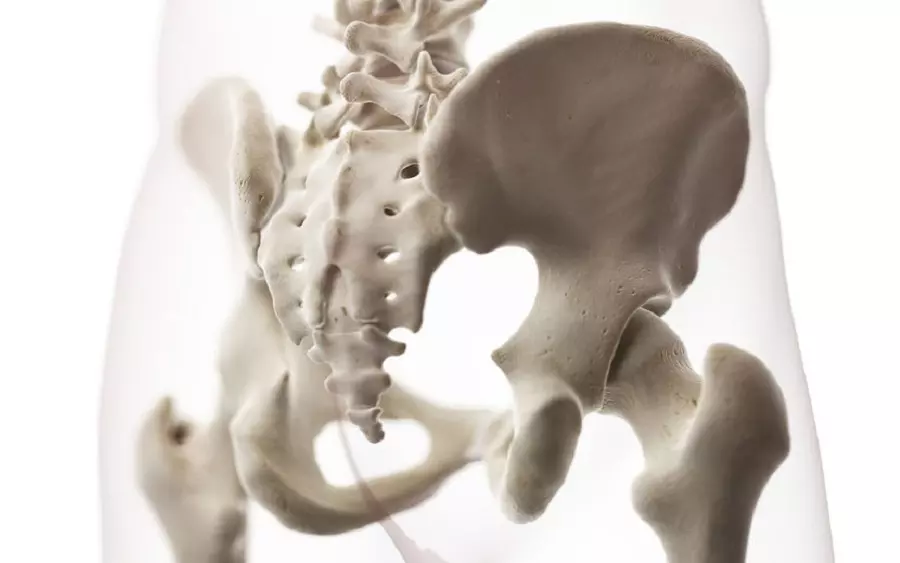 盆骨關節由骶髂構成，可出現盆骨前傾、盆骨前傾等功能障礙